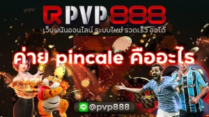 ค่าย pincale คืออะไร